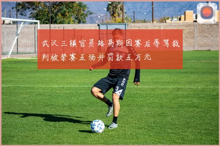 武汉三镇官员路易斯因赛后辱骂裁判被禁赛五场并罚款五万元