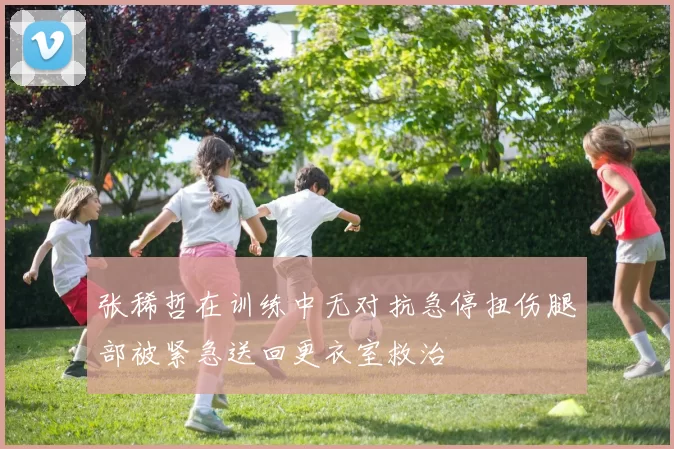 张稀哲在训练中无对抗急停扭伤腿部被紧急送回更衣室救治